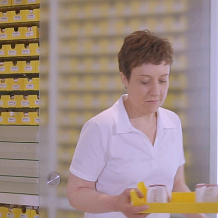 Gebissmodelle Pforzheim